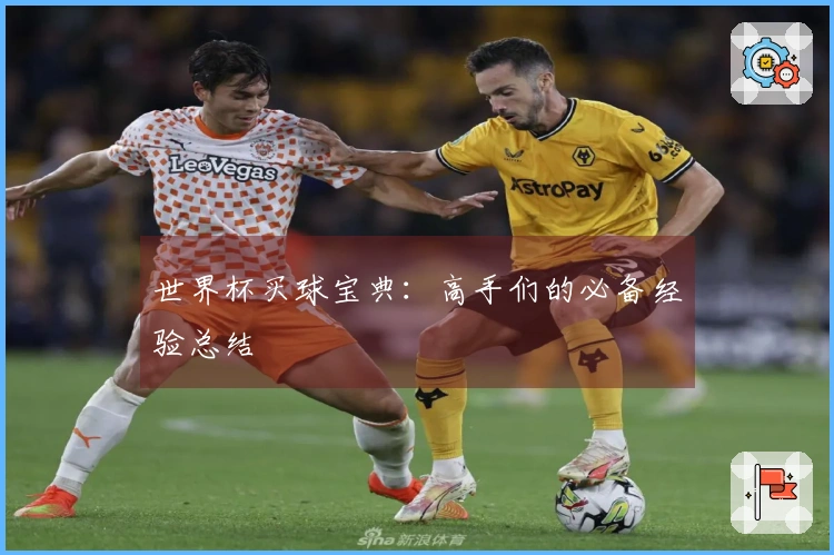 世界杯买球宝典：高手们的必备经验总结