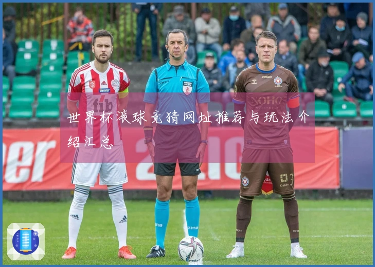 世界杯滚球竞猜网址推荐与玩法介绍汇总