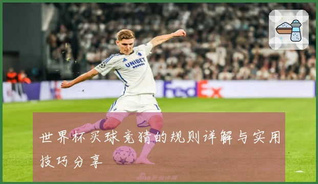 世界杯买球竞猜的规则详解与实用技巧分享
