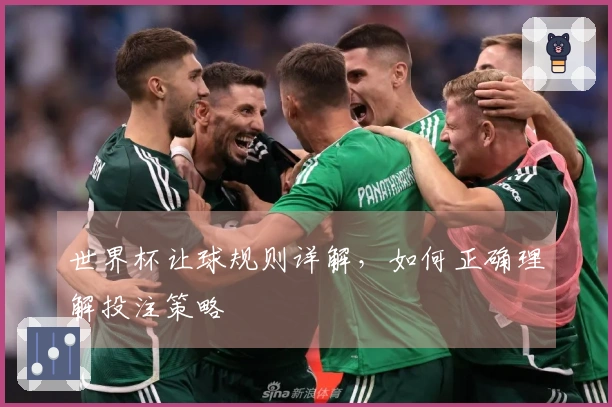 世界杯让球规则详解，如何正确理解投注策略