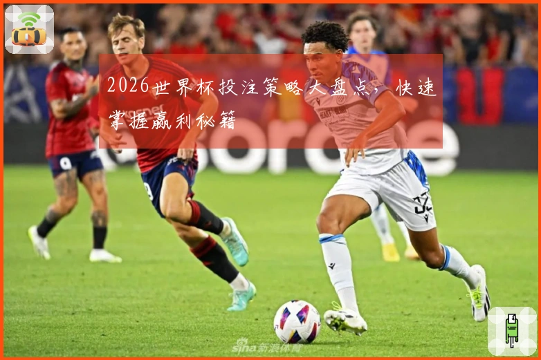 2026世界杯投注策略大盘点，快速掌握赢利秘籍