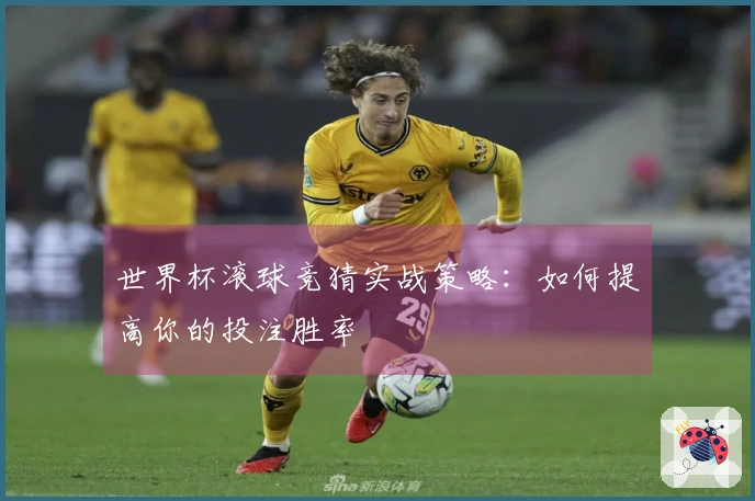 世界杯滚球竞猜实战策略：如何提高你的投注胜率