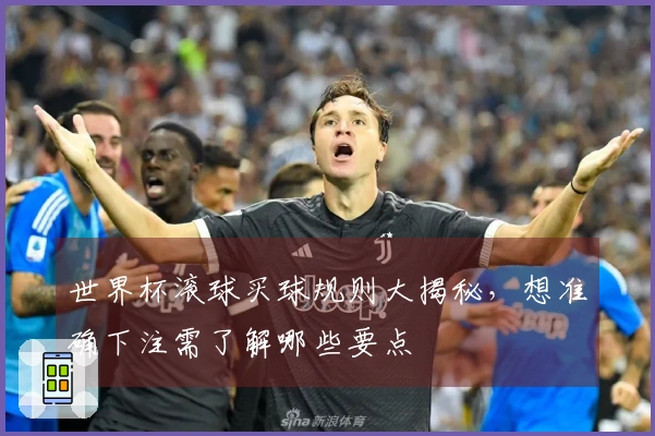 世界杯滚球买球规则大揭秘，想准确下注需了解哪些要点