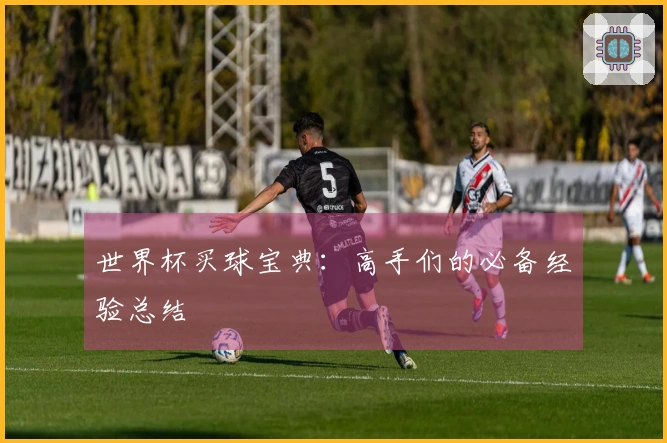 世界杯买球宝典：高手们的必备经验总结